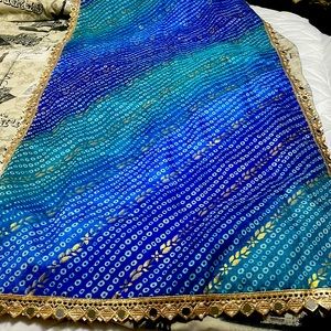 Beautiful Indian  Dupatta (Scarf) Never worn